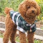 Pet Clothing Checkered Shirt
