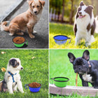 Collapsible Silicone Pet Bowl w/Carabiner