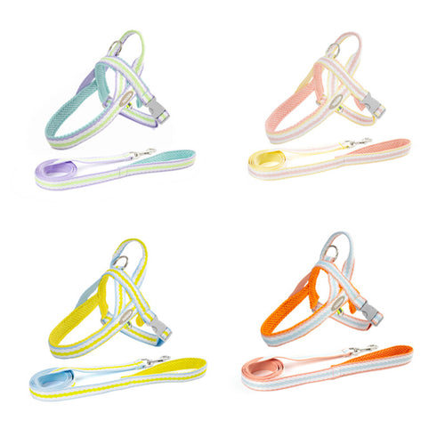 Dog Traction Rope Harness Leash