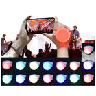 Portable Led Wristband With Remote