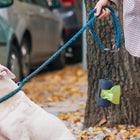 Leash Pet Waste Bag Dispenser