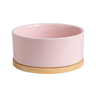 Temperature Control Pet Bowl - Heated Ceramic Dish