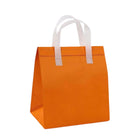 Non-woven Insulated Bag