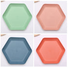 Wheat Straw Hexagonal Home Use Plate