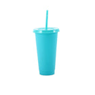 Lidded Plastic Tumbler With Straw