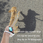 Automatic Pet Leash