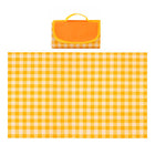 Fold Up Picnic Blanket