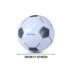 PVC Beach Ball