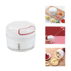 Kitchen Manual Garlic Pulverizer