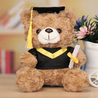 A Bear In Doctor'S Suit