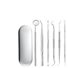 Portable Stainless Steel Toothpick Set - 6 Pieces