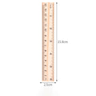 Engineer Scale Ruler