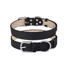Double Buckle PU Pet Collar