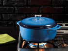 Enamel Cast Iron Pot