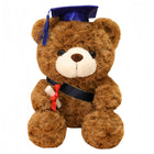 Dr. Hooded Bear Graduation Season Gift
