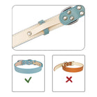 Double Buckle PU Pet Collar
