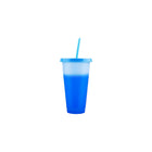 Color Changing Cups With Lids And Straws