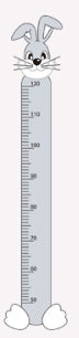 Pvc Plastic Ruler