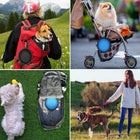Collapsible Pet Bowl w/Carabiner