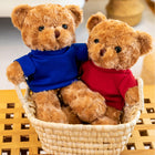 Teddy Bear Stuffed Toy Dressed Bear Doll