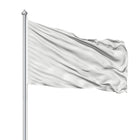100D Polyester Flag