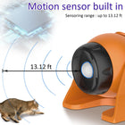 Cat Laser Toys Motion Acticated Responsive Interactions