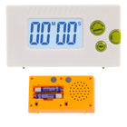 Voice Alarm Timer