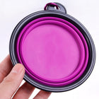 Foldable Portable Pet Bowl