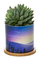 Custom Plastic Planter