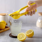 Ergonomic Fruit Press