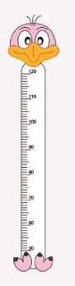 Pvc Plastic Ruler