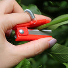 Picking Small Guillotine