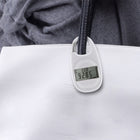 Portable Electronic Pedometer