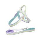 Dog Traction Rope Harness Leash