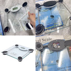 Transparent Digital Body Weight Scale