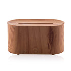 Aromatherapy Humidifier With Flame Atmosphere Light Design