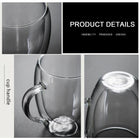 Insulated Clear Glasses Coffee Mug 14 Oz