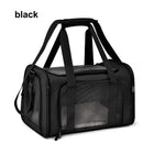 Airlines Certified Pet Transportation Container