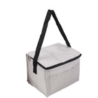 Portable Insulated Cooler Bag