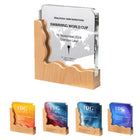 Premium Creative Crystal Trophy