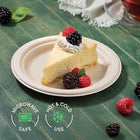 Eco-Friendly Disposable Paper Plate