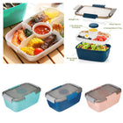 Salad Lunch Container With 4 Compartment Tray