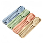 3-in-1 Portable 3-Piece Boxed Cutlery Set