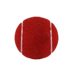 Dog Tennis Ball