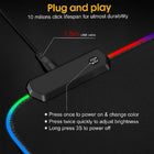 Large Rgb Led Mouse Pa