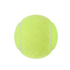Dog Tennis Ball
