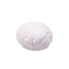 Medical Brain Model & Organ Stress Relief Toy