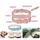 Double Buckle PU Pet Collar