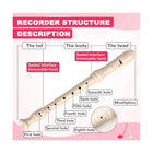 Soprano Recorder Instrument