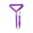 Retractable Pet Leash W/ Metal Carabiner